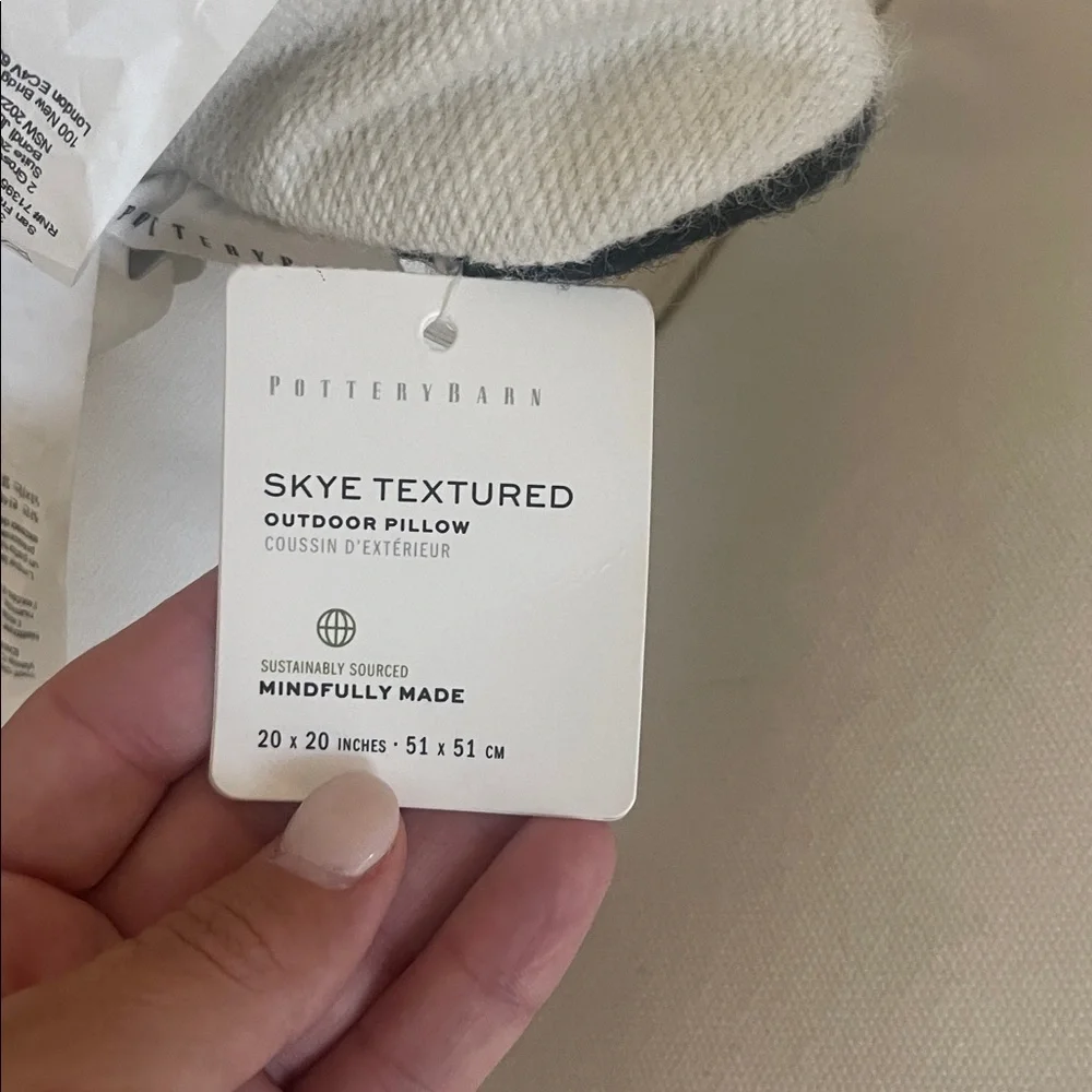 Pottery barn pillow